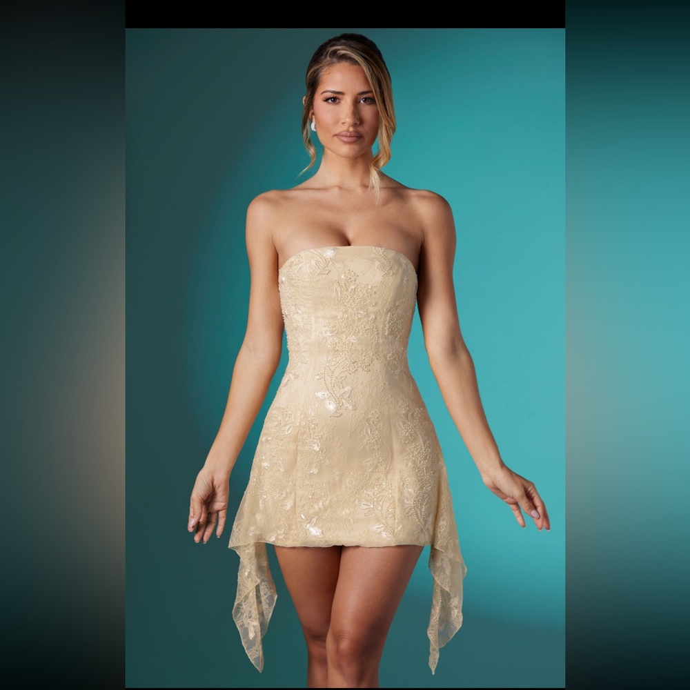 Embellished Lace Bandeau Mini
Dress in Ivory